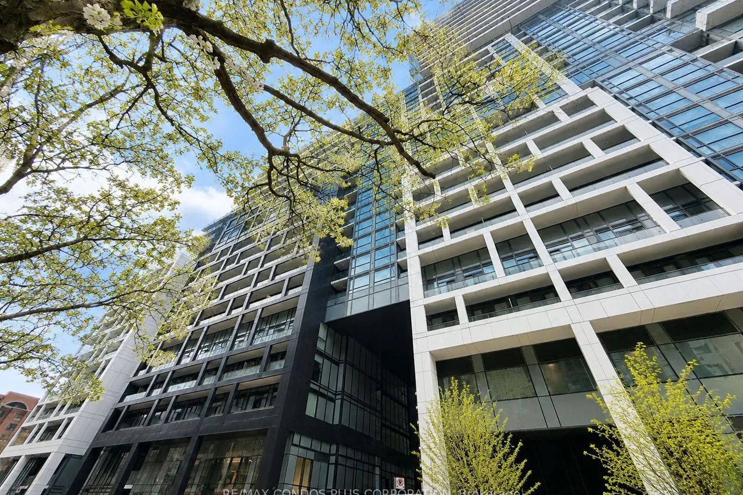 60 Princess Street 1113