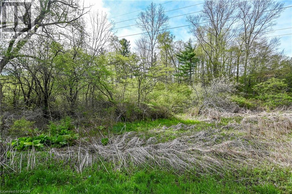 0 MINERAL SPRINGS Road