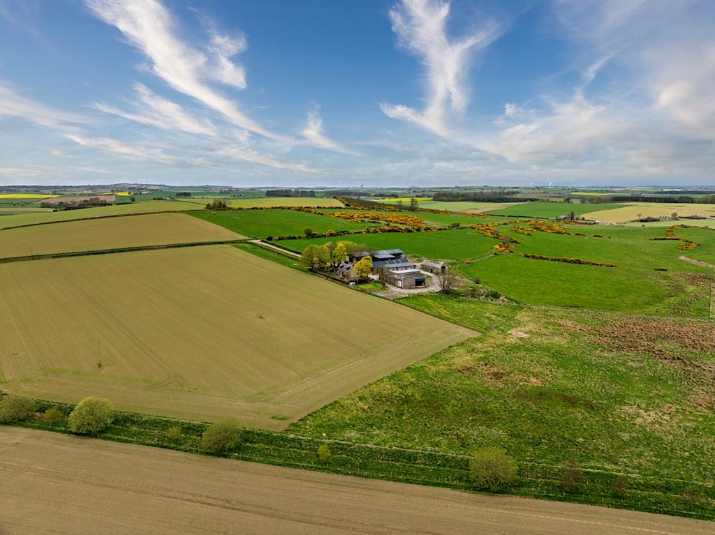 Farm for saleTarves AB41 photo 5