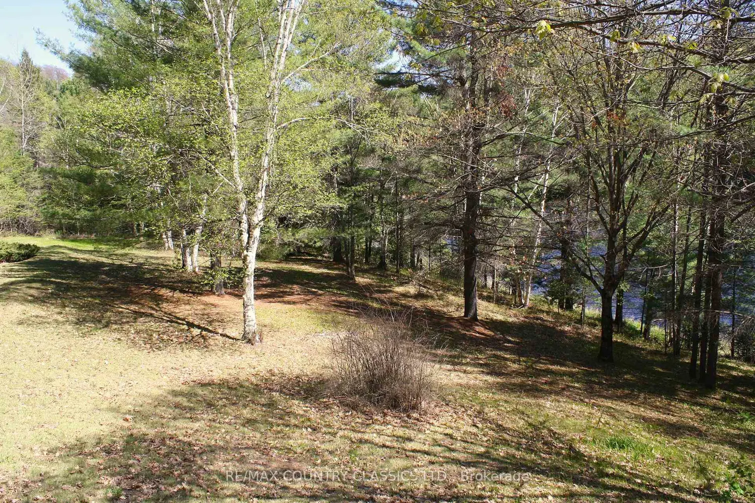 Additional image 8 of 1060 Little Ireland Road