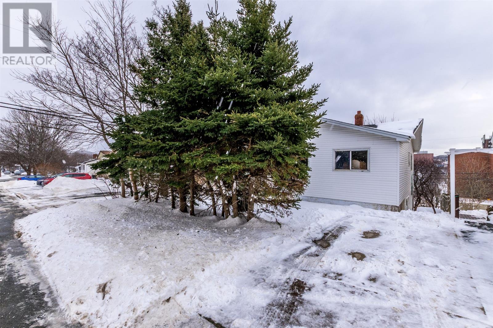 11 Taylor Place, St. John's, NL, A1A1L4 photo 5