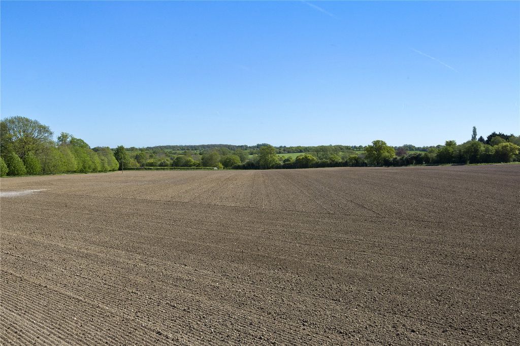 Additional image 3 of Land for saleClipt Bushes & Peppers Hall Farms, Cockfield, Bury St. Edmunds, Suffolk IP30