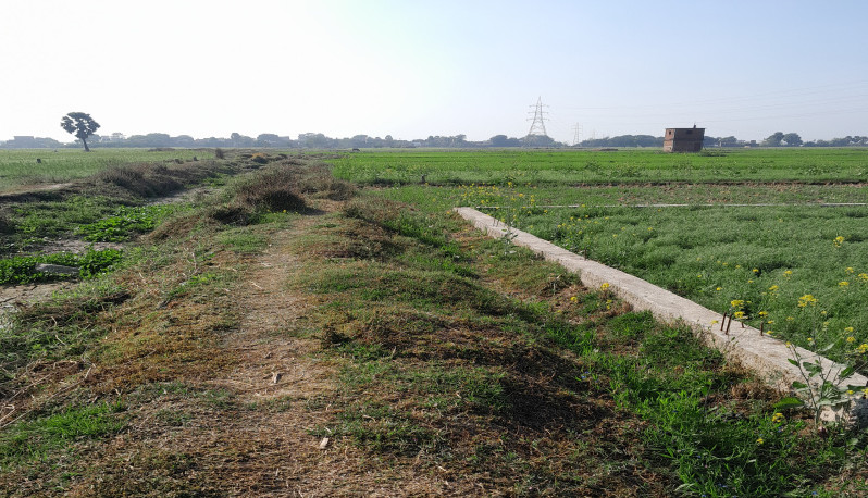 Additional image 3 of Punpun, Patna