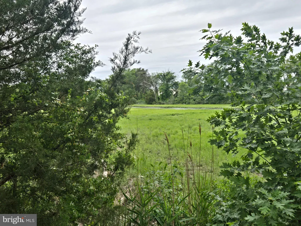 Additional image 62 of 347 Golf Links Ln, Magnolia, DE 19962
