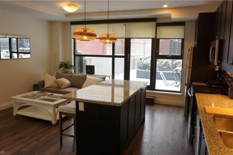 Additional image 7 of 417-118 King Street E, Hamilton, ON, L8N 1A8