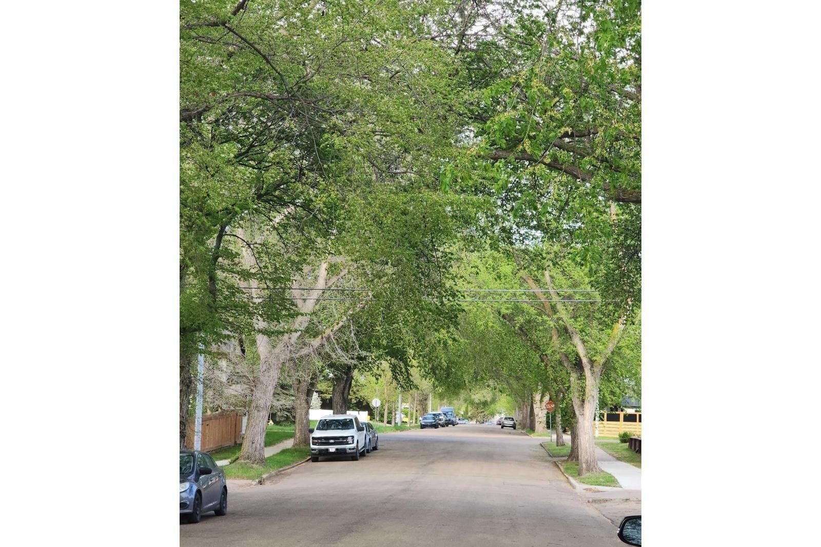 Additional image 8 of 3809 112 Avenue NW, Edmonton, AB, T5W0M5