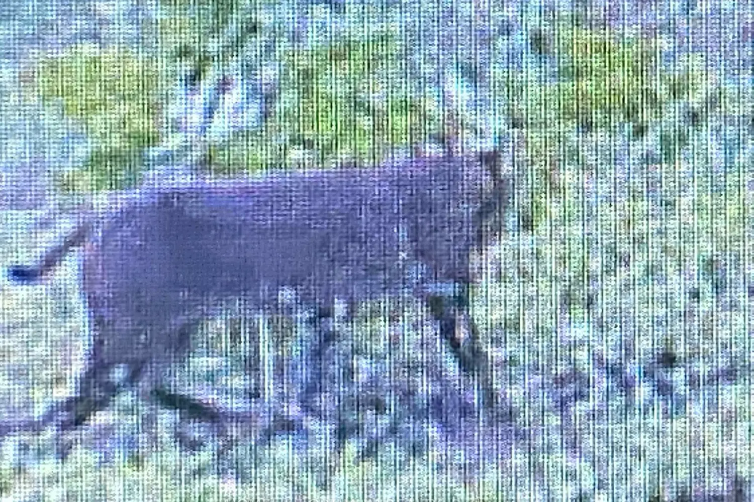 Additional image 9 of 1086 Crystal Lake Road