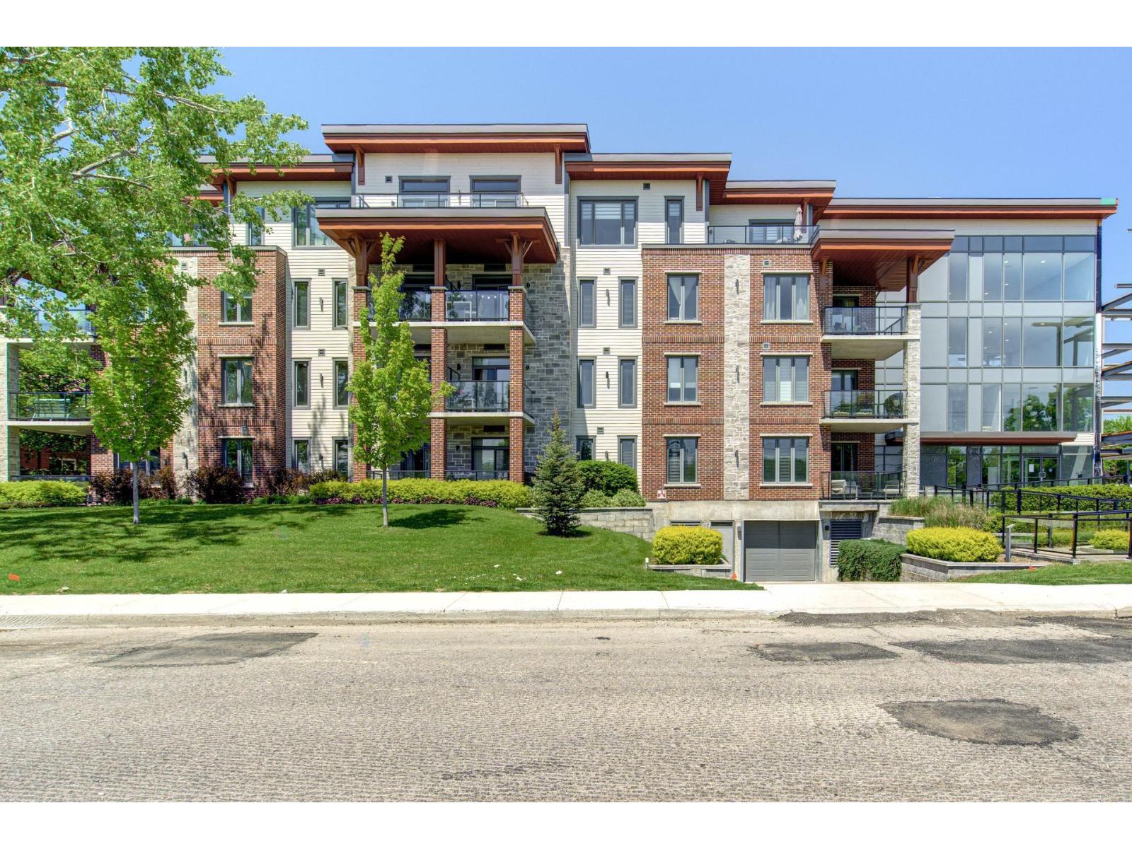 79 Av. Elm