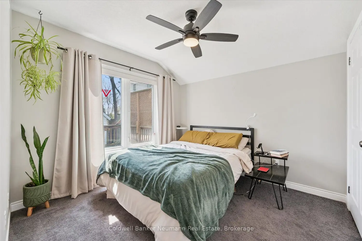 161 Grange Street photo 5
