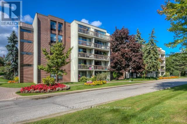 507 - 10 FASHION ROSEWAY