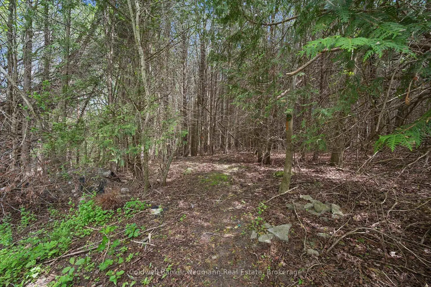 Additional image 20 of 6592 Forestell Road