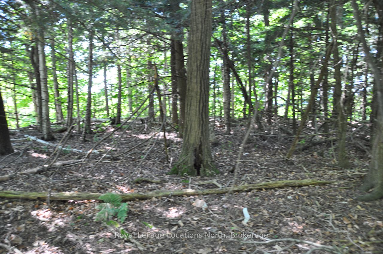 Additional image 4 of LOT 21 Bayshore Road, Meaford, ON, N0H 1B0