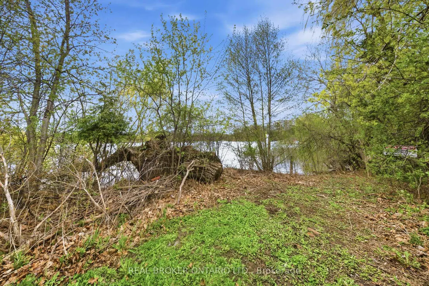 Additional image 11 of 529 Conservation Drive