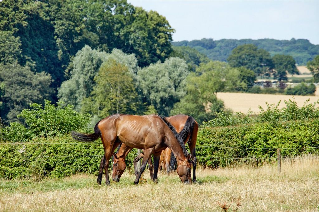 Additional image 7 of Equestrian for saleLot 2 | Edgcote Farms, Edgcote, Banbury, Northamptonshire OX17
