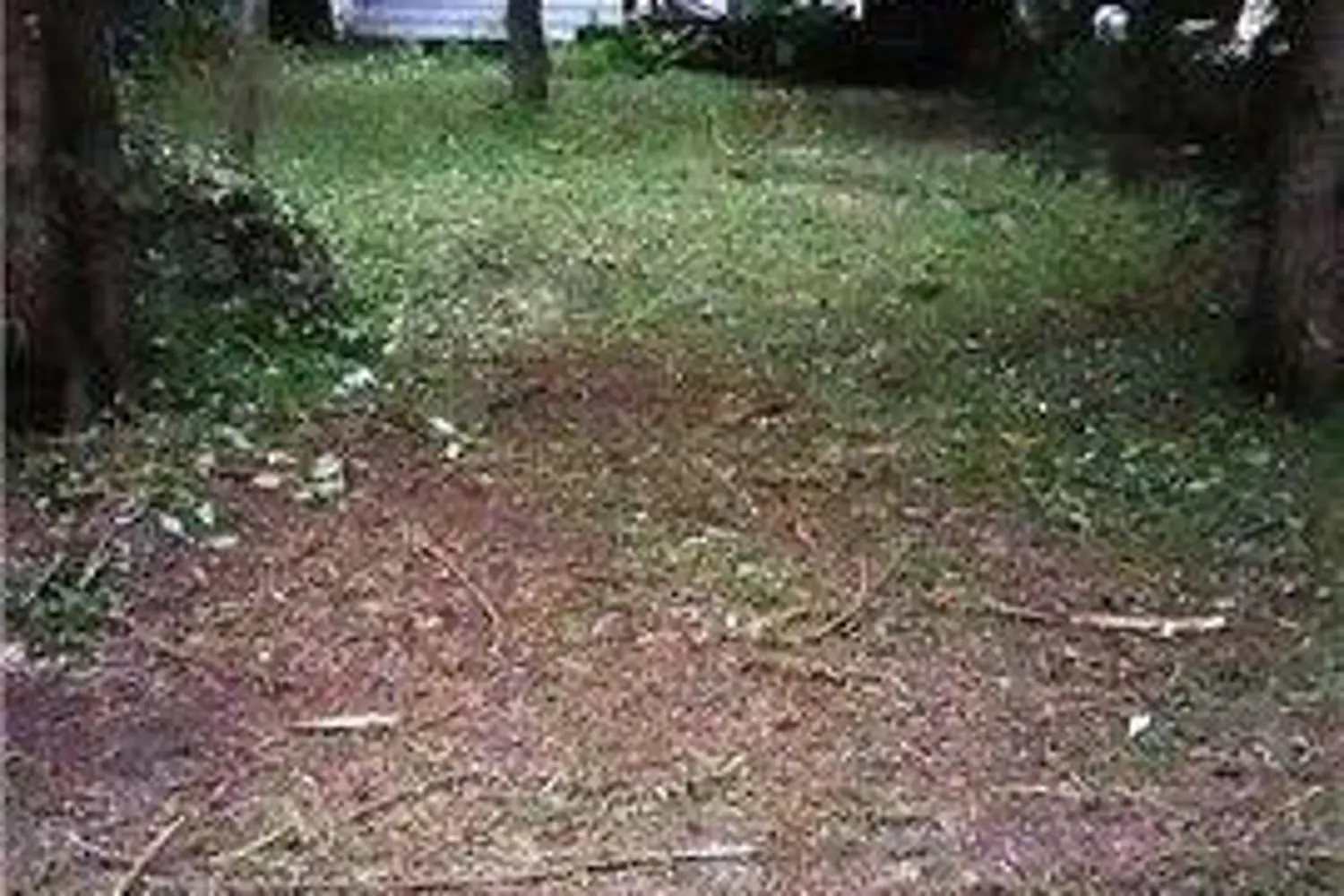 Additional image 5 of 91 Snake Island Road