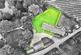 Additional image 5 of Bearstone, Market Drayton, TF9