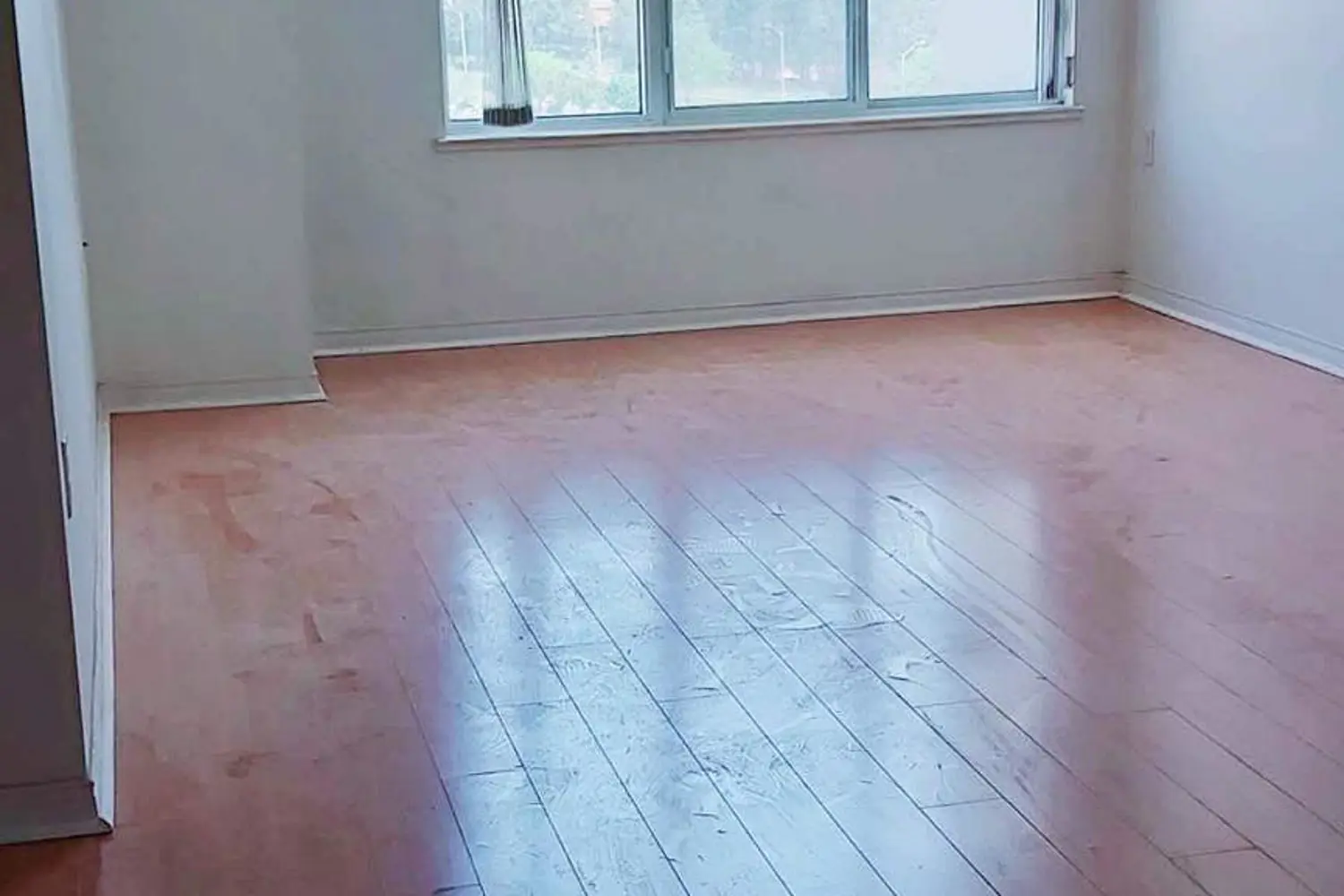 5001 Finch Avenue 1206 photo 3