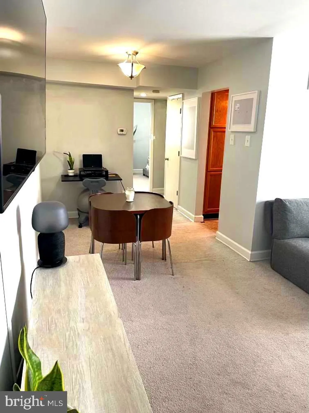742 Brandywine Street SE Unit 202, Washington, DC 20032 photo 4