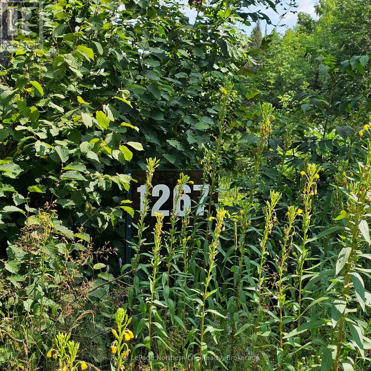 1267 SNAKE CREEK ROAD