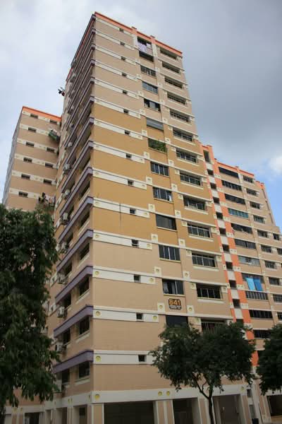 Additional image 8 of 841 Jurong West Street 81