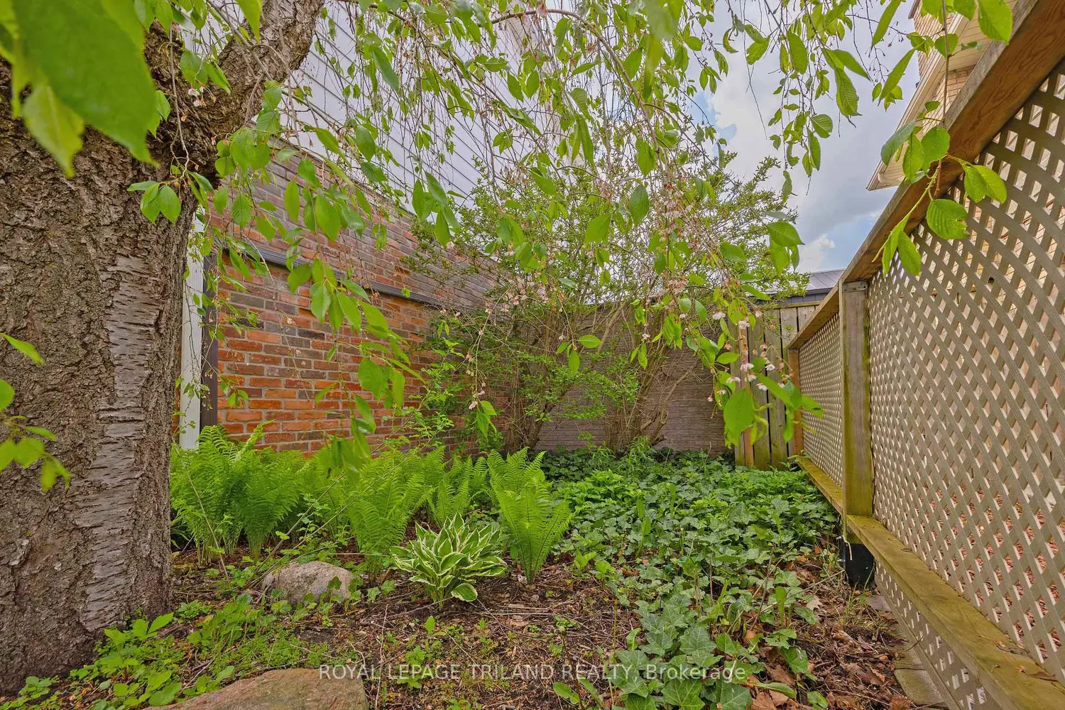 Additional image 9 of 1402 Hastings Drive