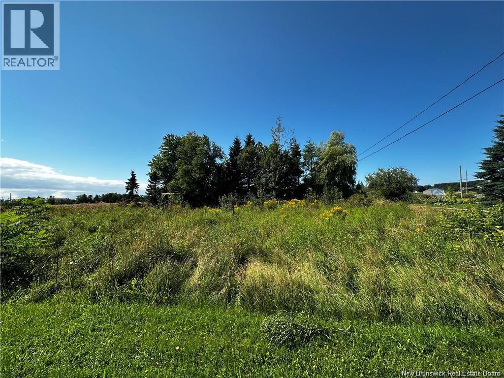 Vacant  lot Beausoleil Street