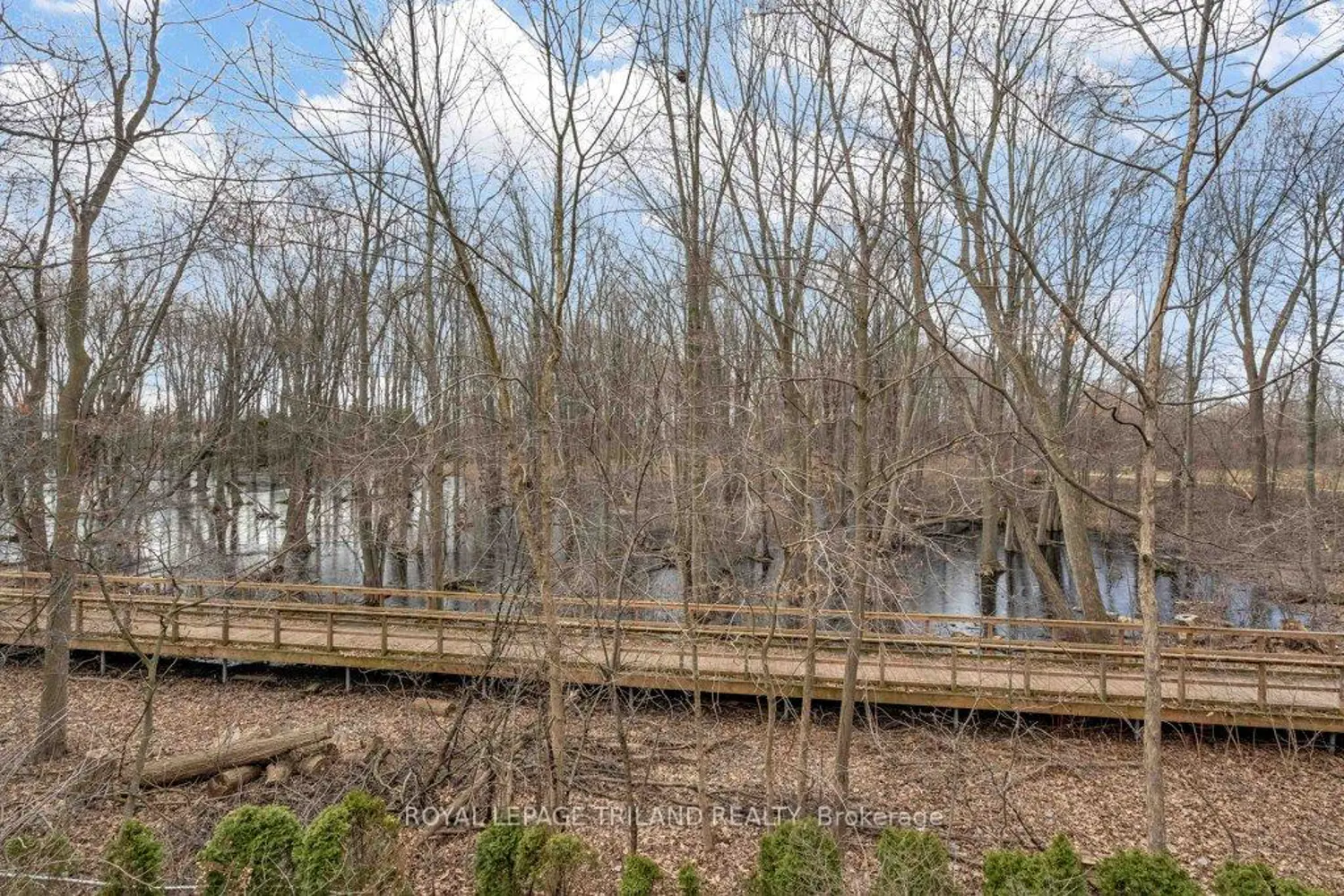 Additional image 8 of 215 Rossmore Court