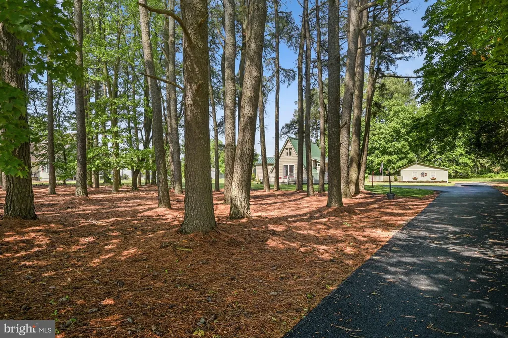 Additional image 29 of 151 Peach Basket Road, Felton, DE 19943