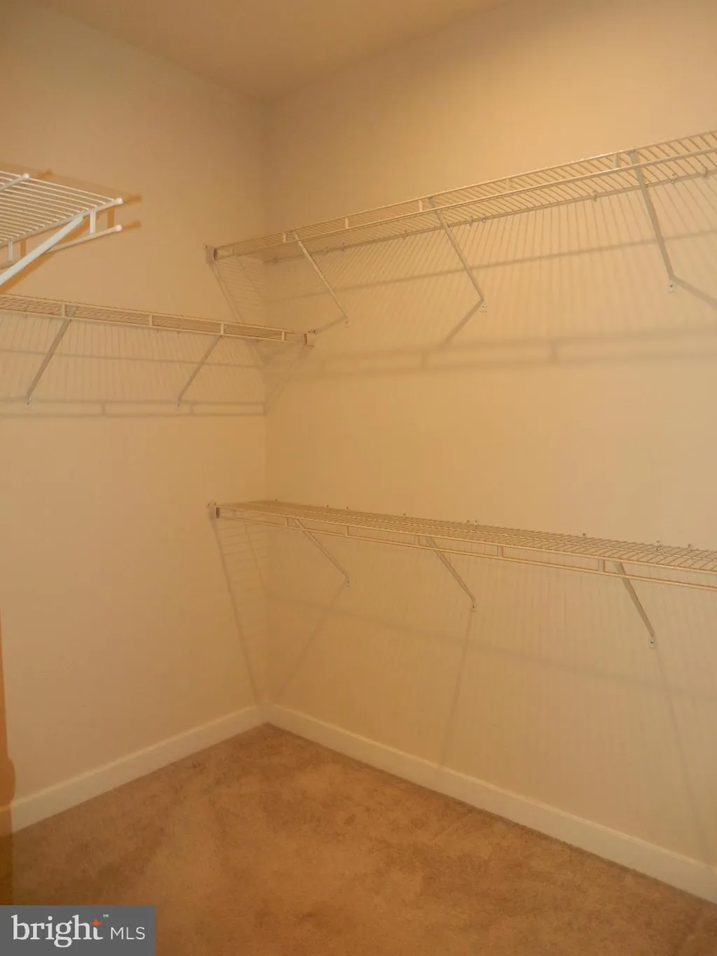 Additional image 31 of 36884 Red Cedar Loop, Ocean View, DE 19970