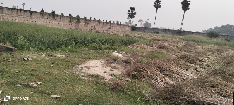 Additional image 2 of Hardas Bigha, Patna
