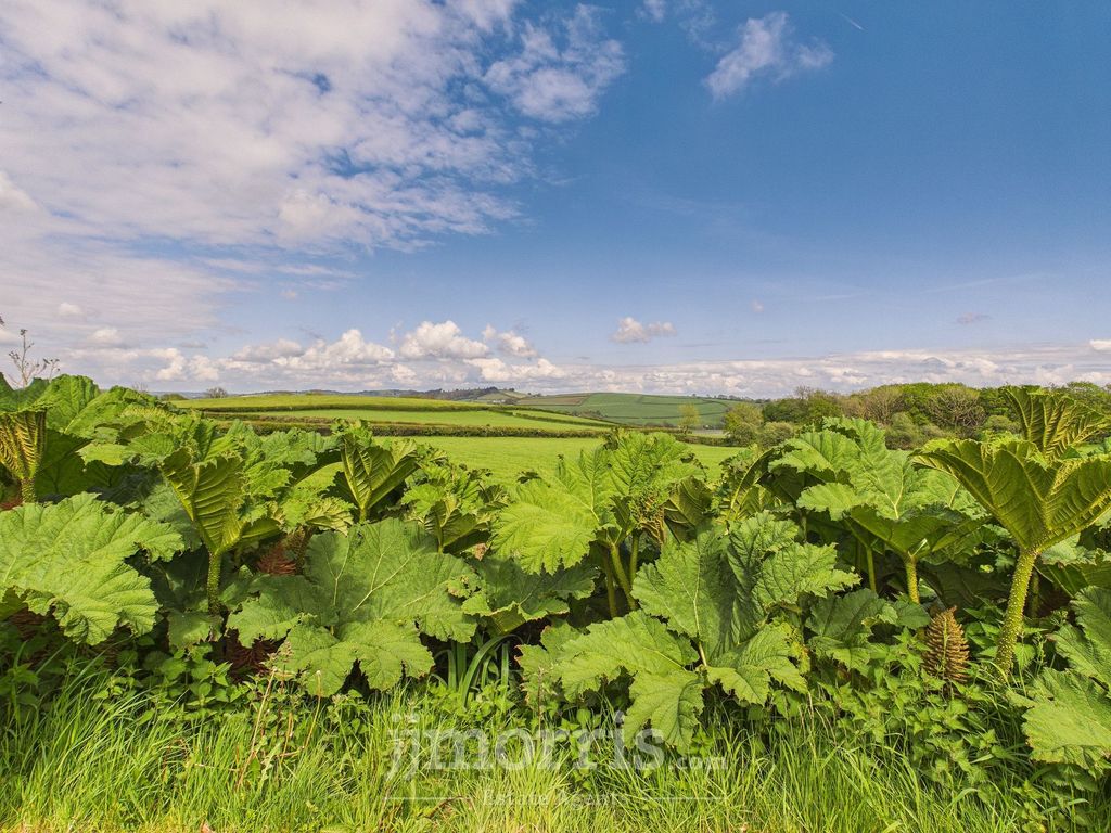 Additional image 48 of 7 bed farm for saleLaugharne, Carmarthen SA33