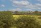 Additional image 19 of Clyne Common, Swansea