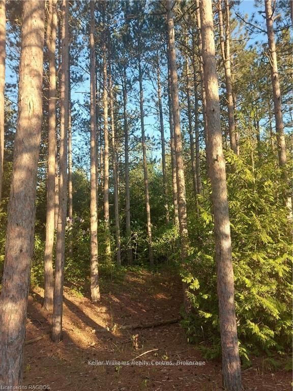 Additional image 4 of PT LT 40 Presqu'ile Road, Georgian Bluffs, ON, N0H 1S0