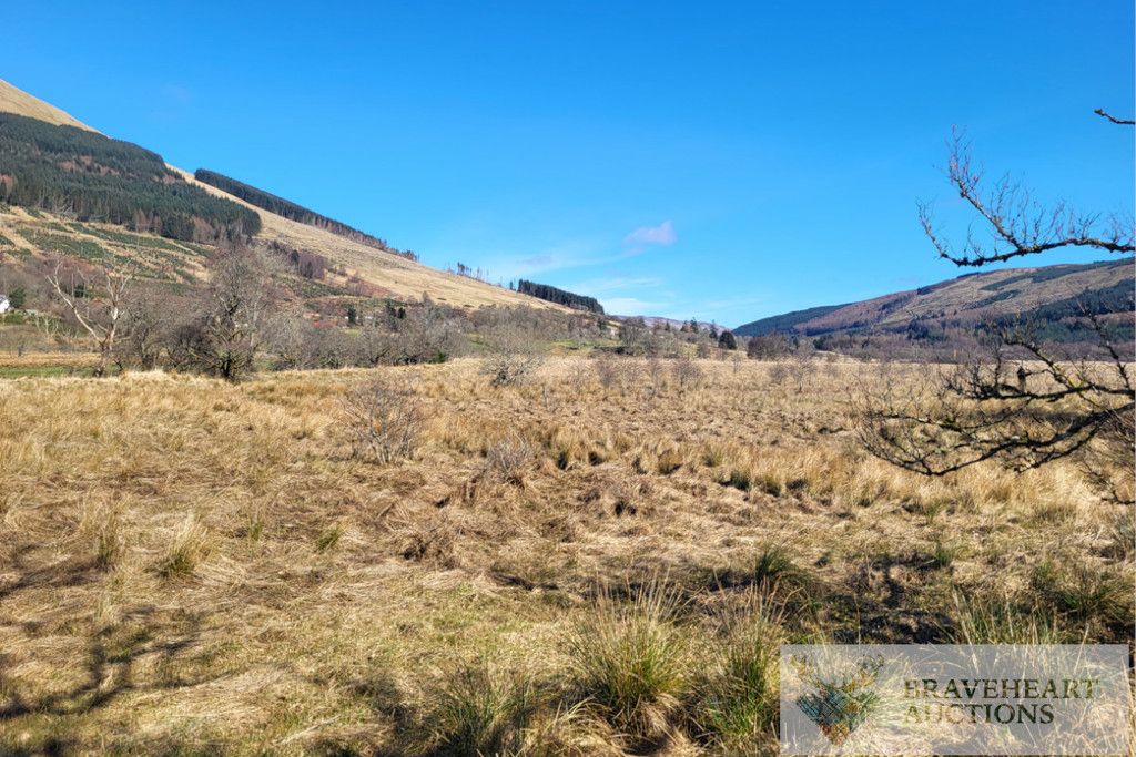 Additional image 18 of Land for saleBraveheart 4, Balquhidder, Lochearnhead, Stirling FK19