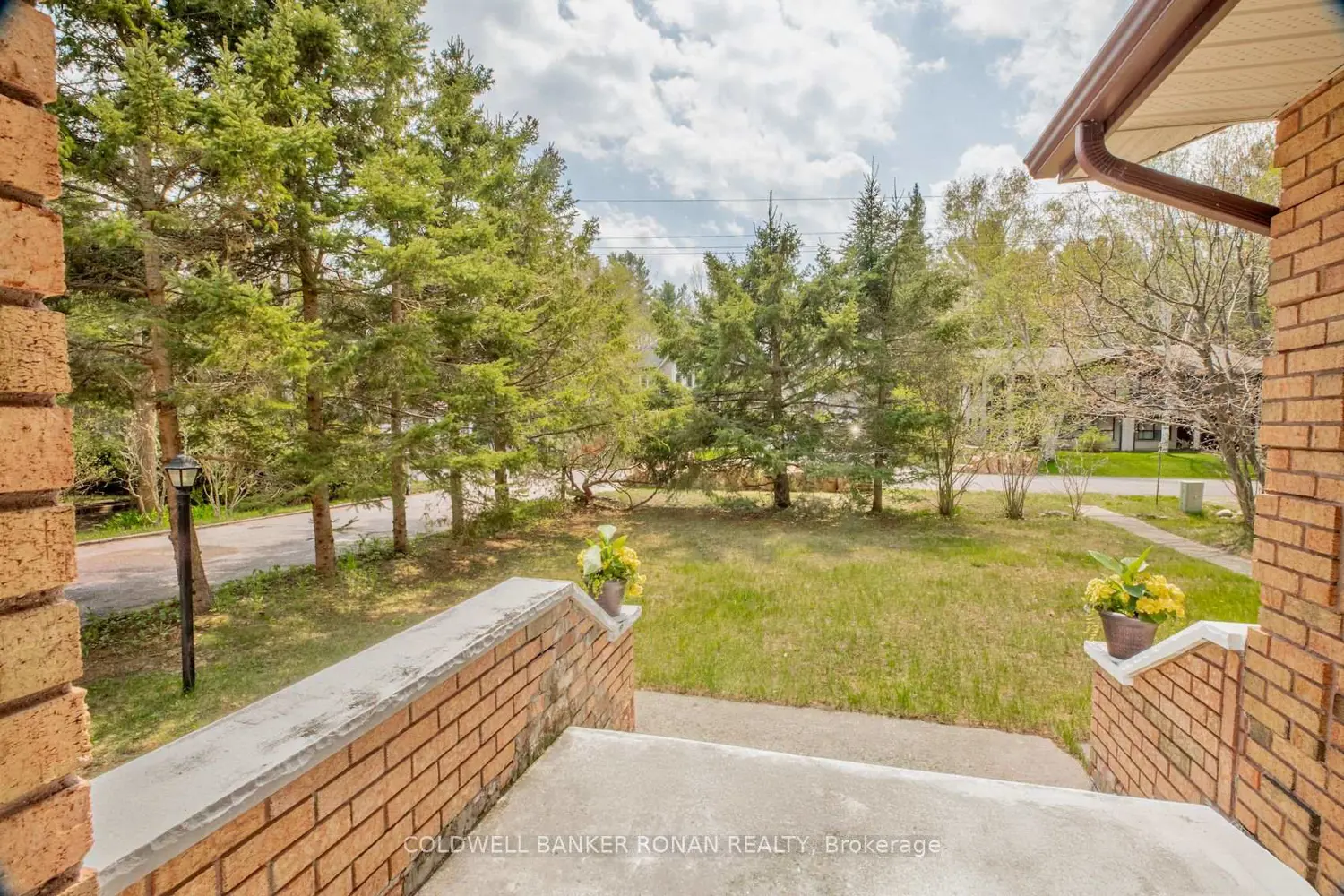 24 Pine Forest Drive photo 2