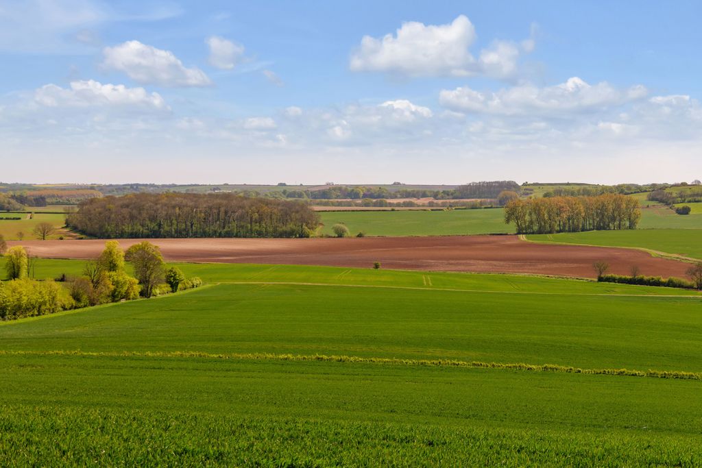 Additional image 14 of Land for saleGlebe Farm | Lot 2, Oxcombe Road, Belchford, Horncastle LN9
