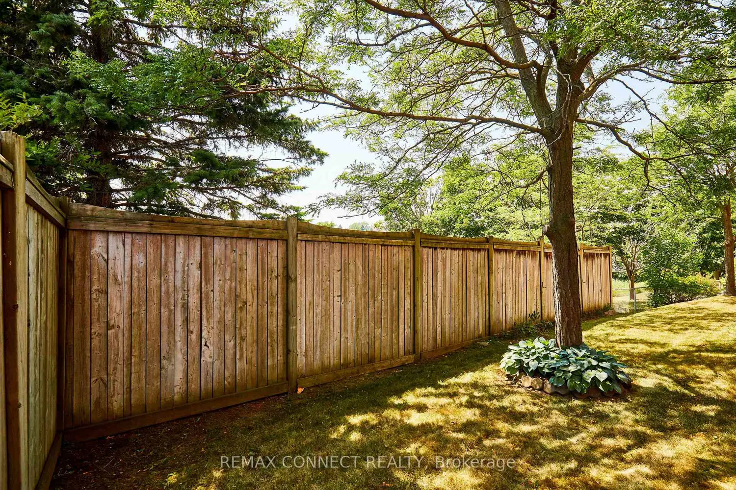 Additional image 18 of 575 Steeple Hill 31