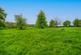Additional image 21 of Brimfield, Ludlow, SY8