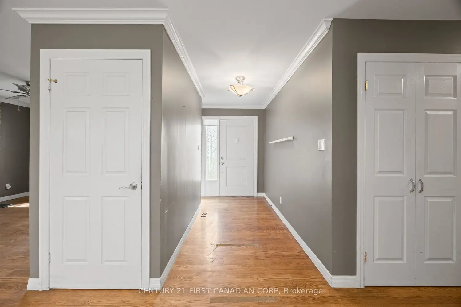 Additional image 7 of 781 Verulam Street