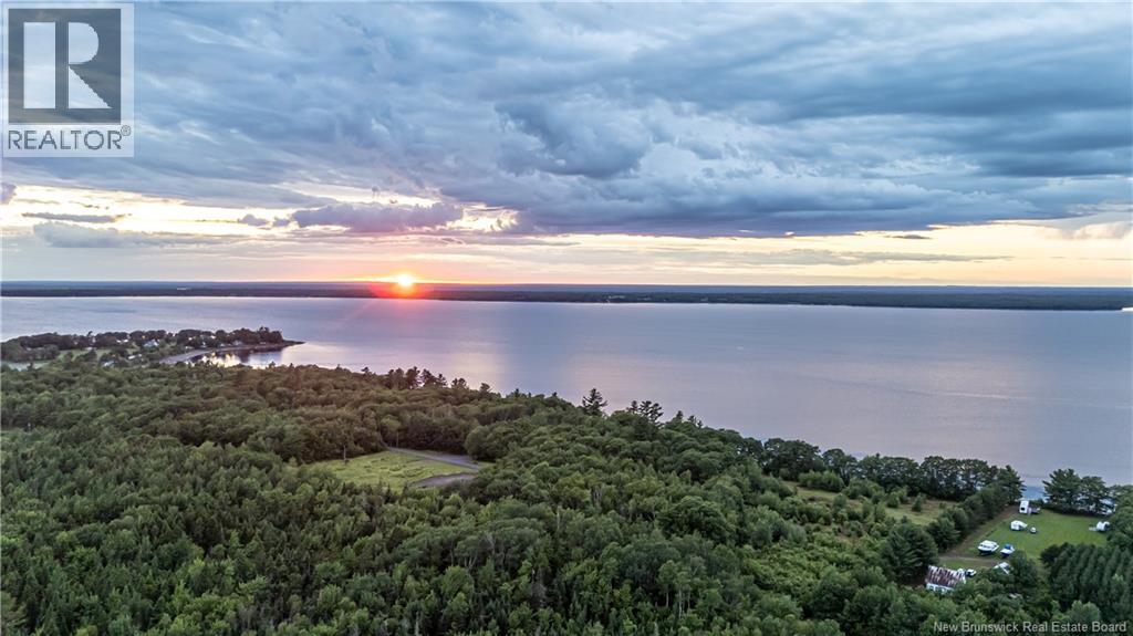 5 The Bluff