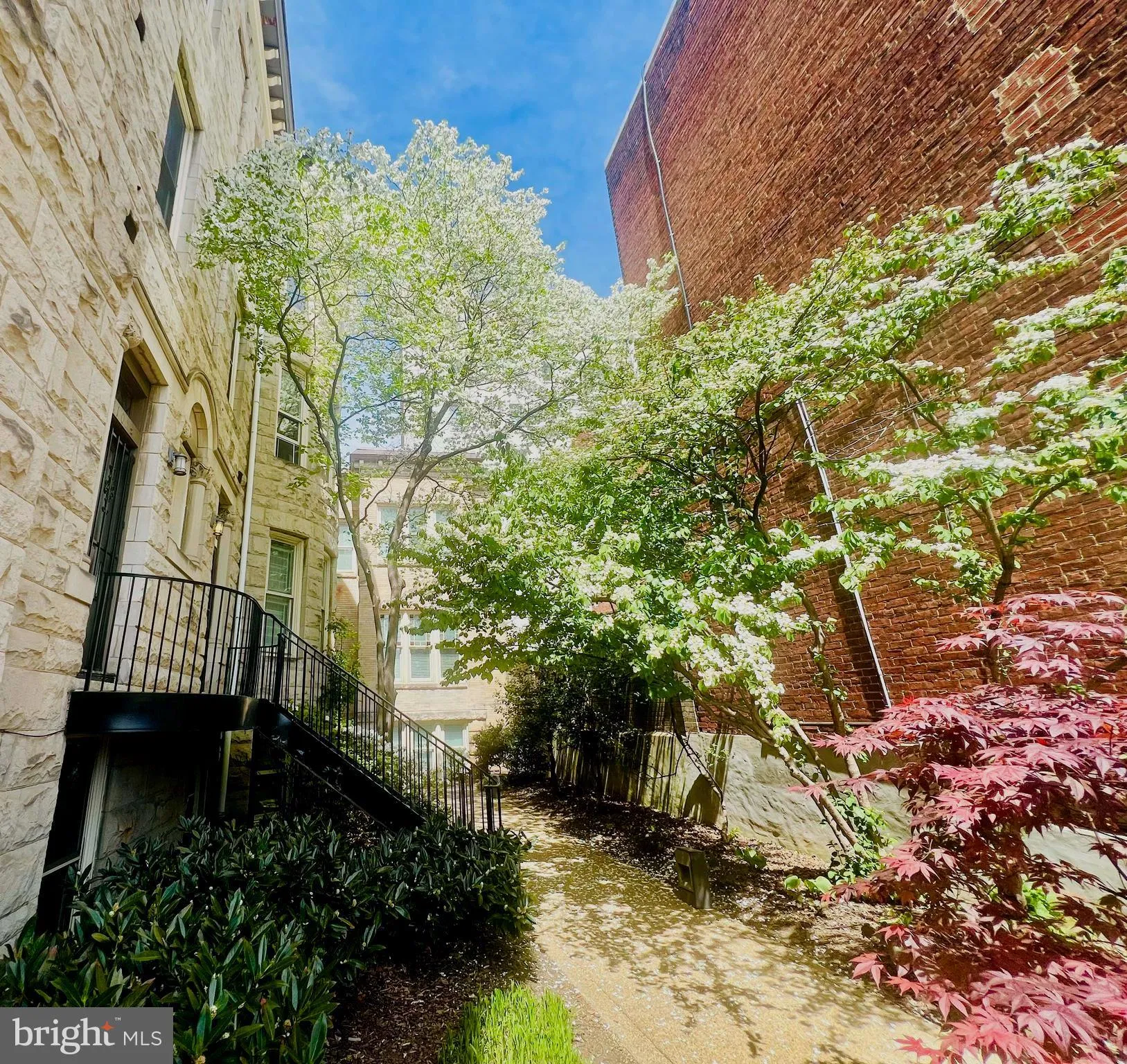 Additional image 67 of 2107 S Street NW Unit A, Washington, DC 20008