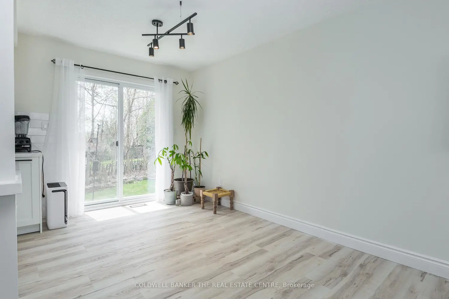 461 Alberta Street photo 5
