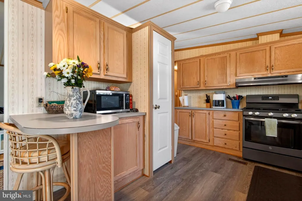 Additional image 16 of 25983 S Cedar Street, Millsboro, DE 19966