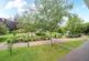 Additional image 16 of Fair Acres, Bromley