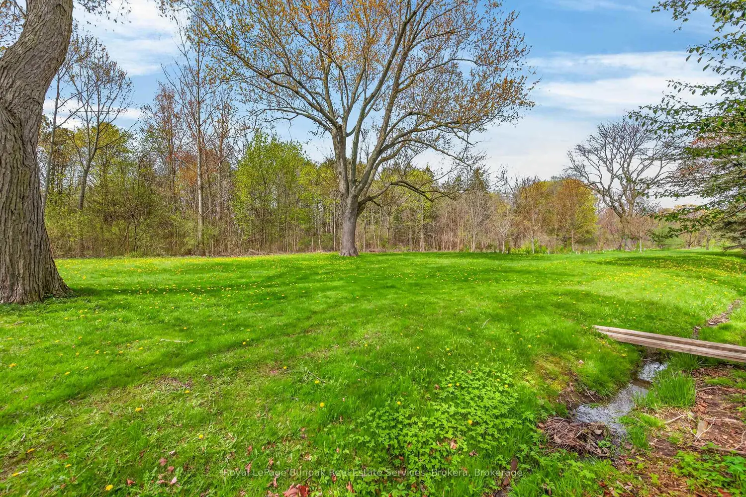 Additional image 19 of 342 Meadow Wood Lane