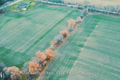 Additional image 5 of 4740 Seventh Line, New Tecumseth, ON, L0G 1A0