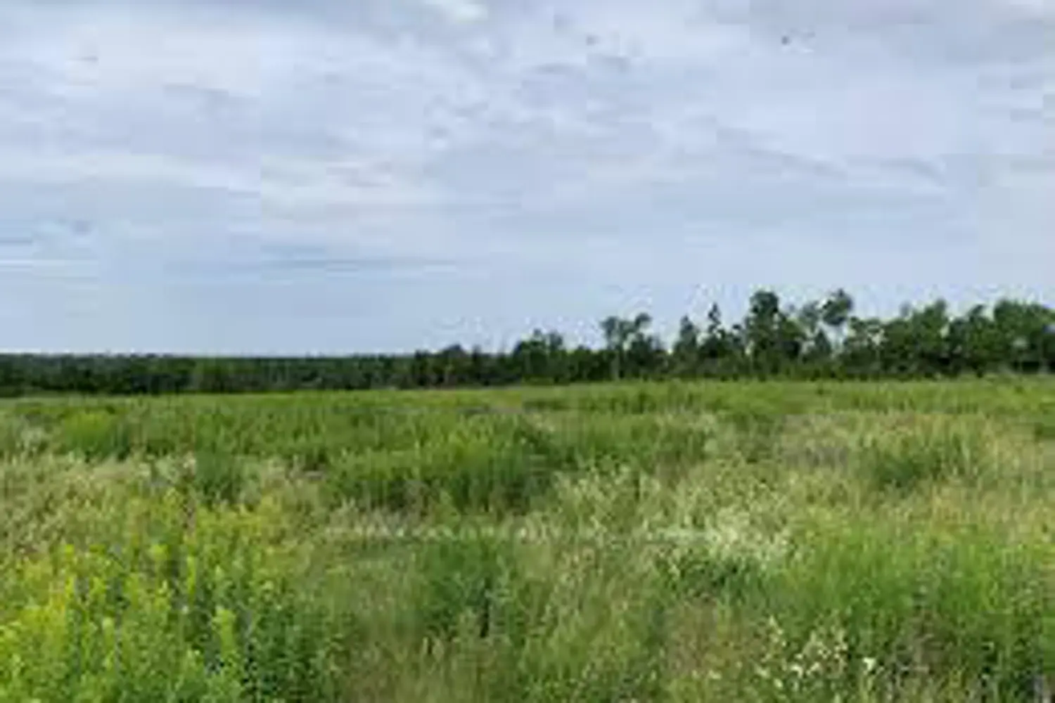 Additional image 8 of 934284 Airport Road