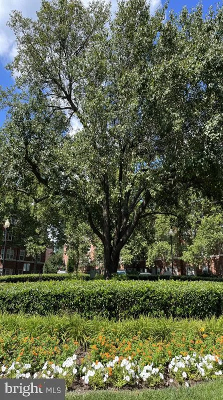 Additional image 29 of 3401 38th Street NW Unit 611-407, Washington, DC 20016
