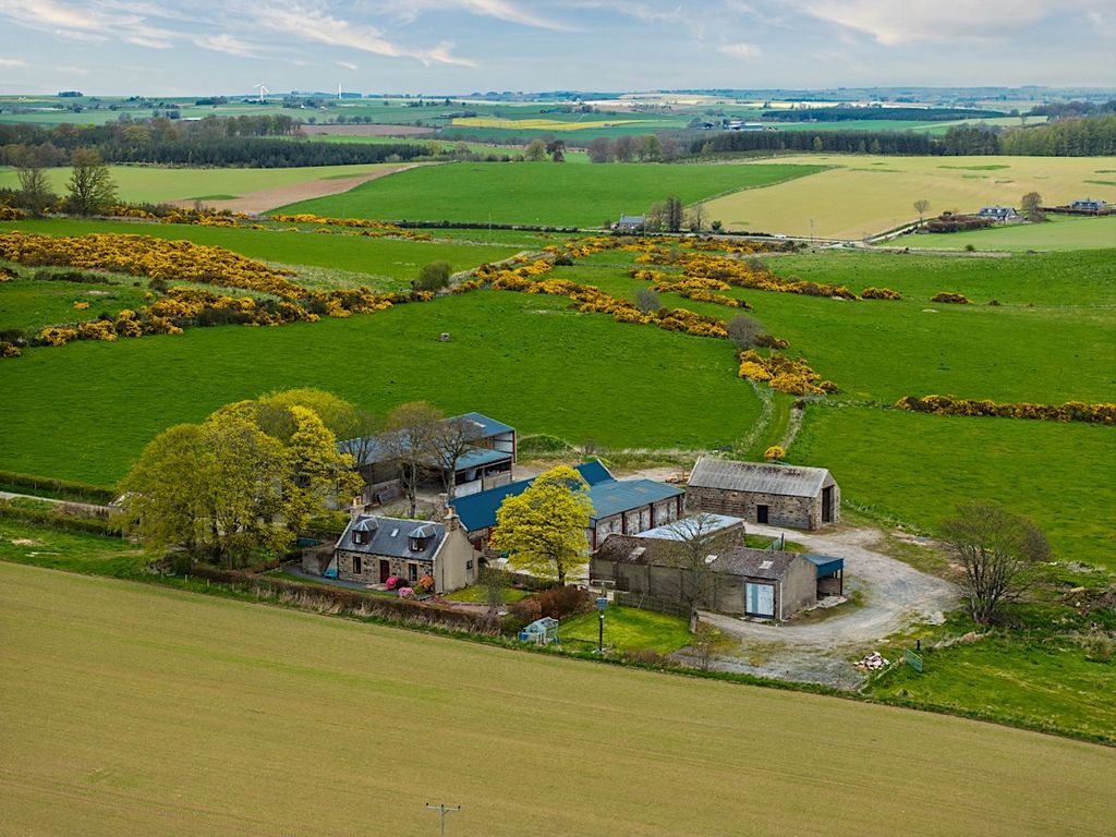 Farm for saleTarves AB41 photo 4