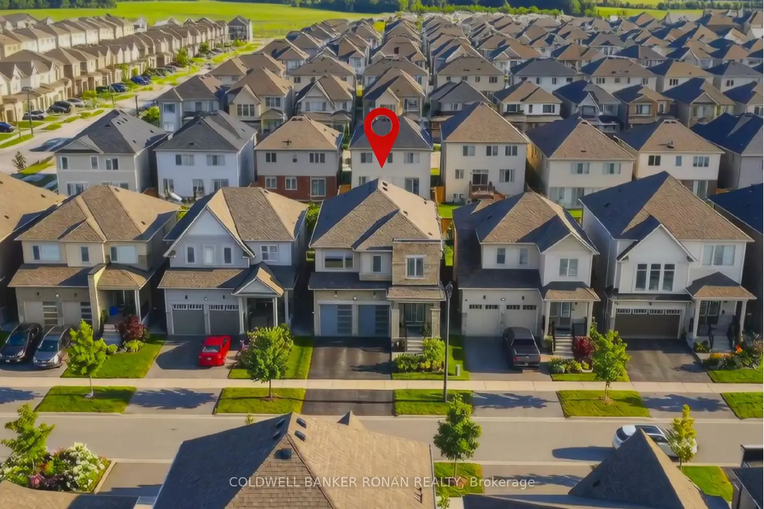 Additional image 20 of 71 Harpin Way